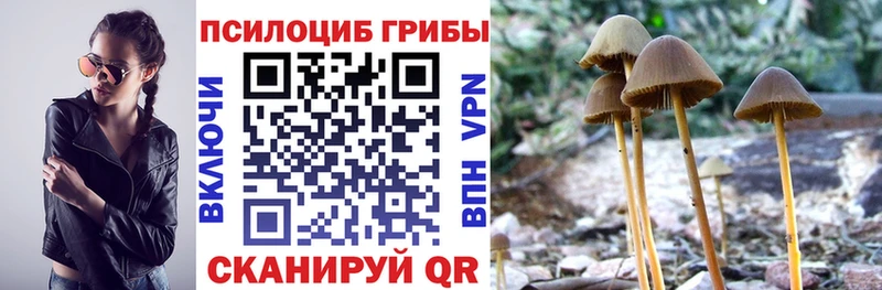 это телеграм  Зерноград  Псилоцибиновые грибы ЛСД  купить закладку 