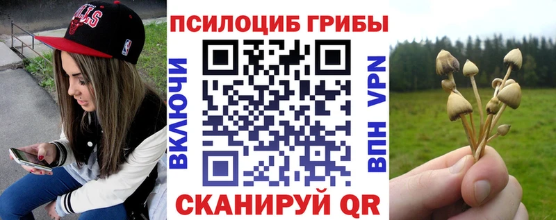 Псилоцибиновые грибы ЛСД Зерноград